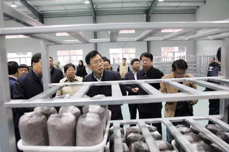 魏增軍副省長一行蒞臨柞水中博農(nóng)業(yè)扶貧項(xiàng)目視察工作